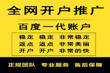 网络推广竞价策略案例分析